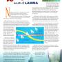 lamma1.jpg