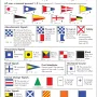 race-signal-card.webp